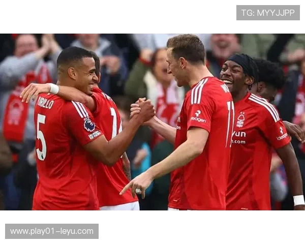 热刺vs诺丁汉森林：英超巅峰对决，主场优势与逆袭潜力的较量