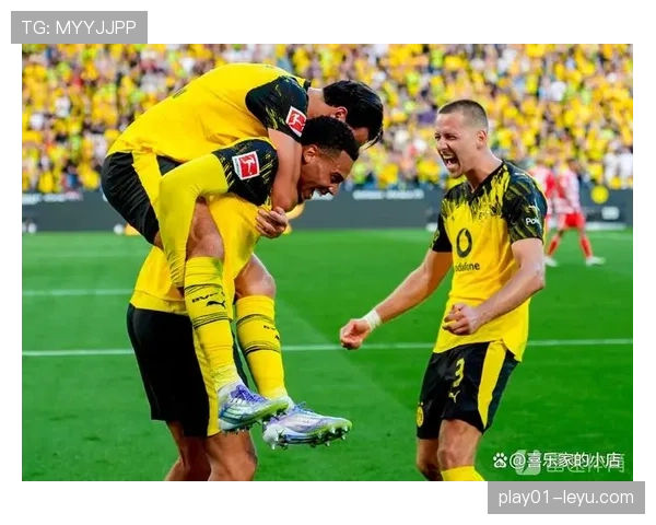 多特蒙德迎战欧洲杯,信号公园见证球队实力与竞技状态 多特蒙德迎战欧洲杯,信号公园见证球队实力与竞技状态