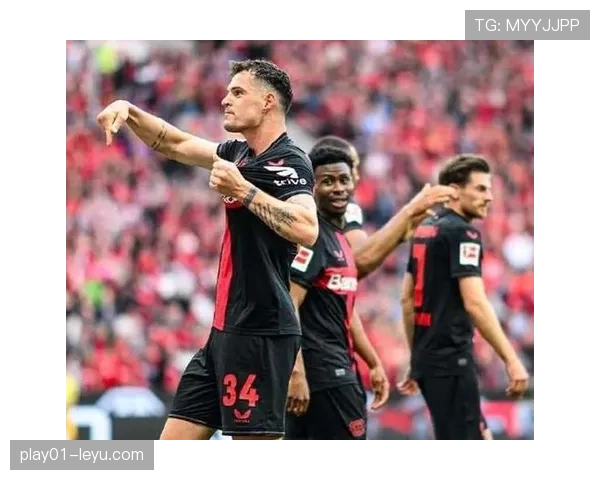 勒沃库森新援加盟,球队实力再升级引球迷期待 勒沃库森新援加盟,球队实力再升级引球迷期待